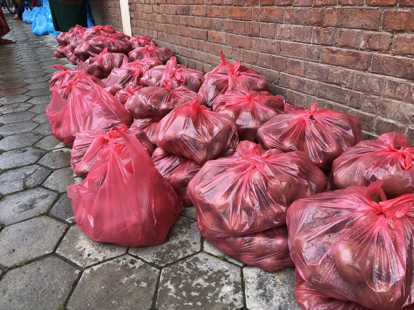 Food relief in Kathmandu and Pharping &mdash; photo 12