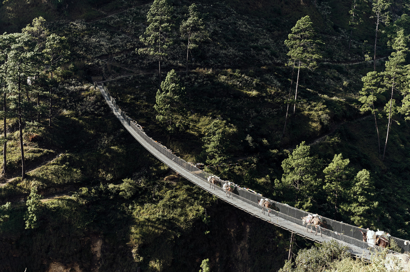 Trek with Purpose, Tsum Valley &mdash; photo 9