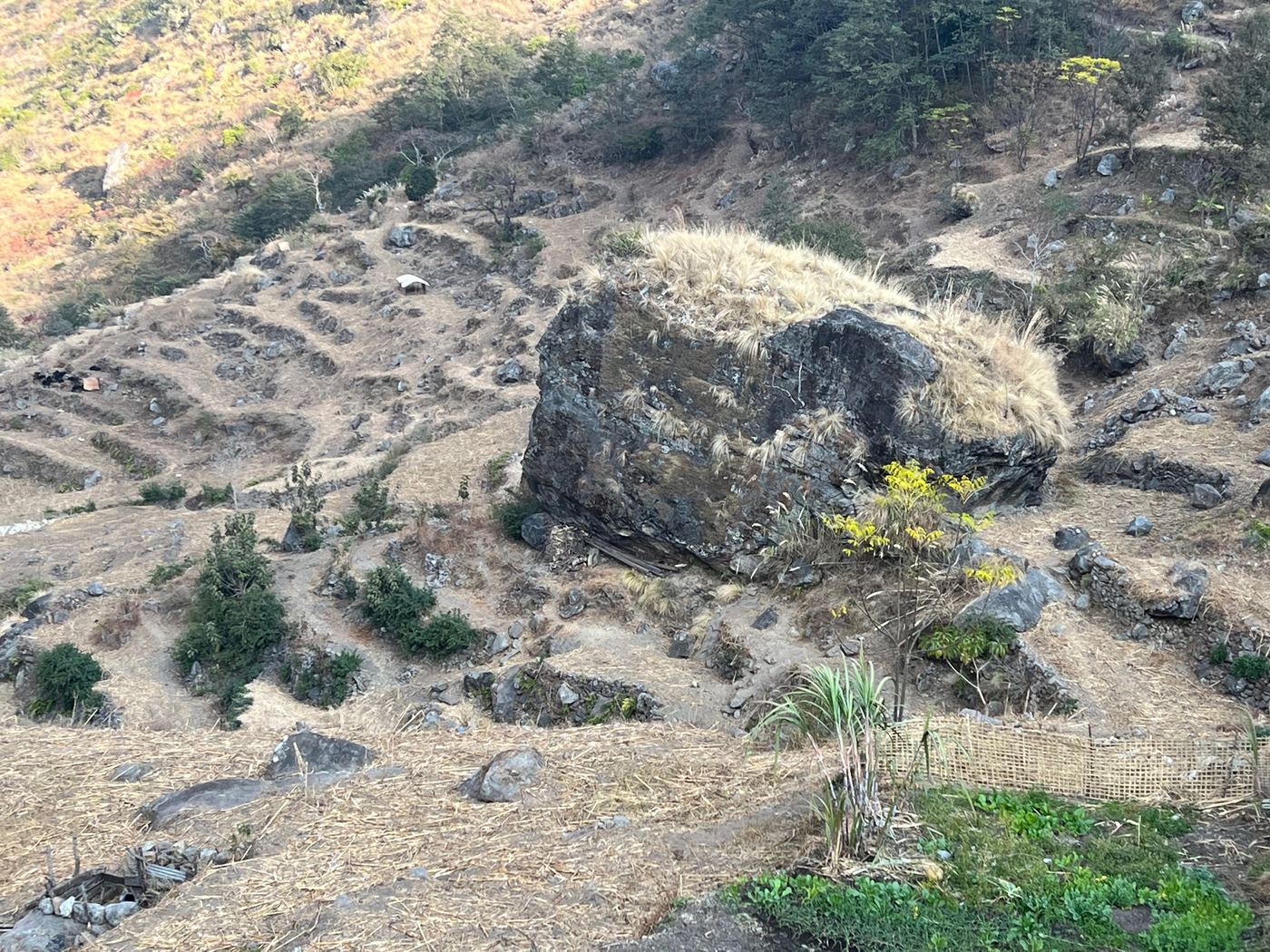 Surveying the land &mdash; photo 1
